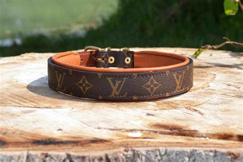 louis vuitton dog collar's|Louis Vuitton dog collar small.